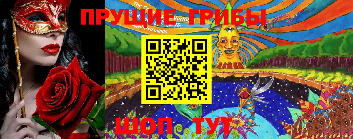 Галлюциногенные грибы Cubensis Йошкар-Ола