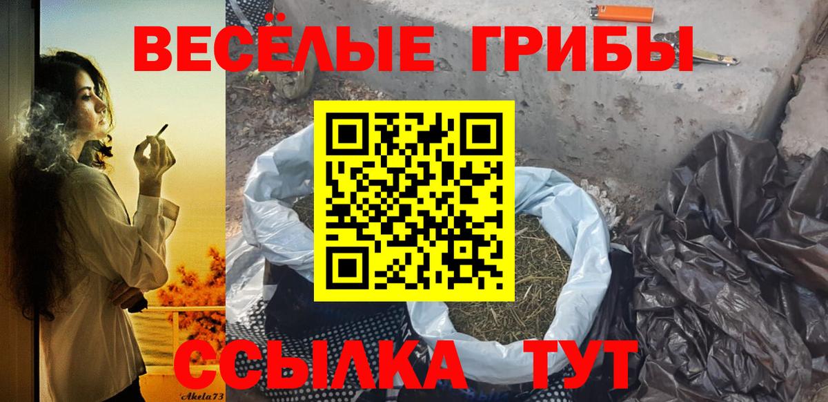 Йошкар-Ола  Галлюциногенные грибы Psilocybine cubensis  Вход с VPN 